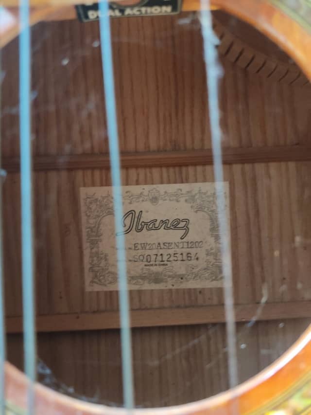 Guitare Ibanez EW20A