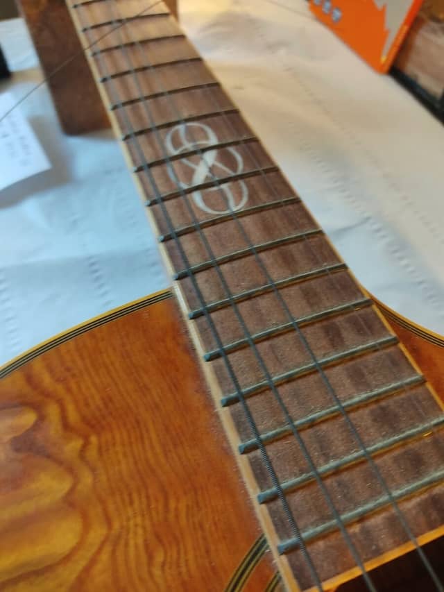 Guitare Ibanez EW20A