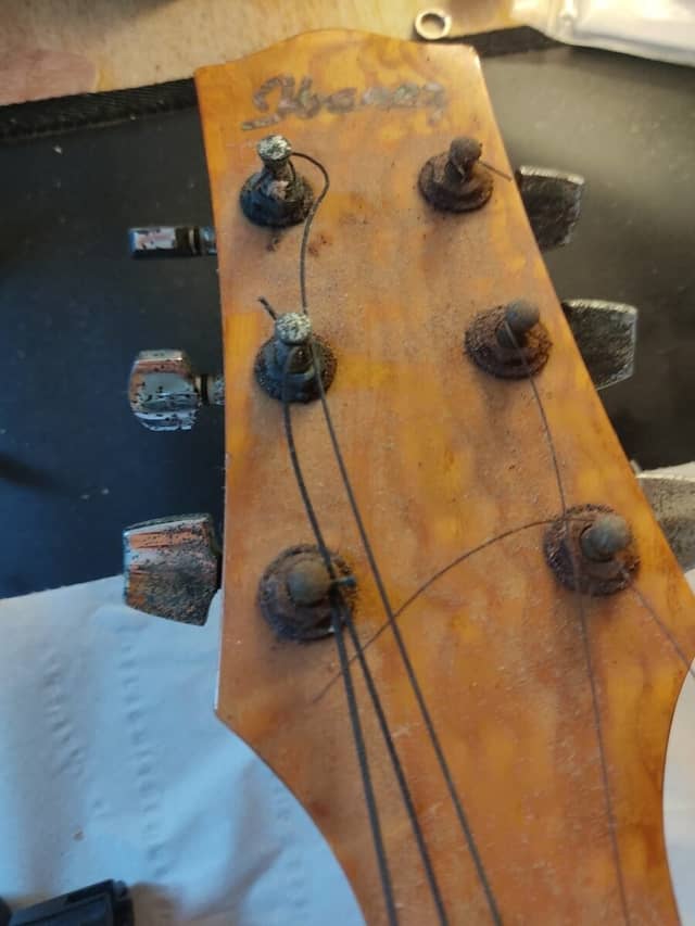 Guitare Ibanez EW20A