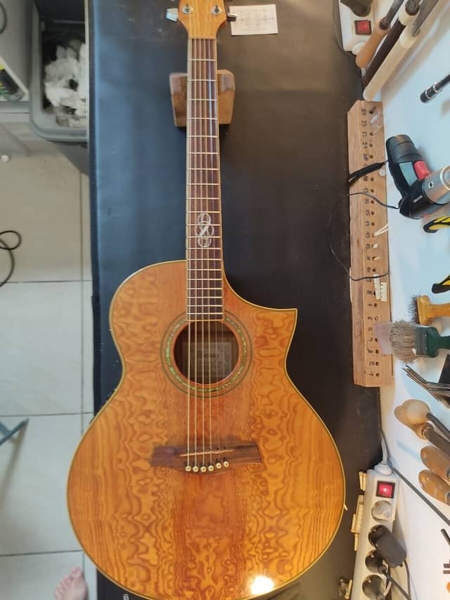 Guitare Ibanez EW20A