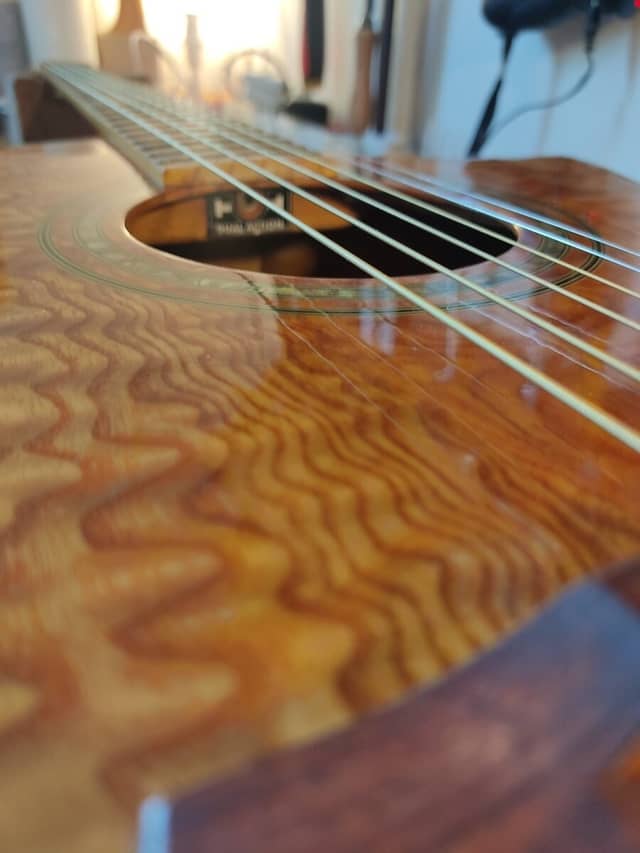 Guitare Ibanez EW20A