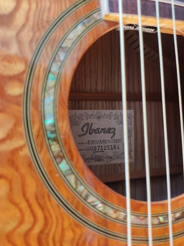 Guitare Ibanez EW20A