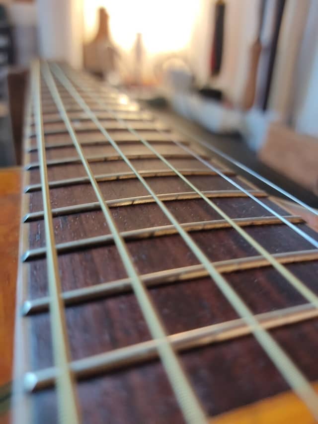 Guitare Ibanez EW20A