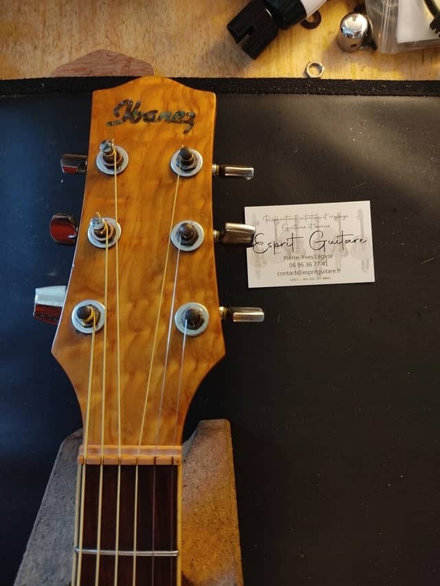 Guitare Ibanez EW20A