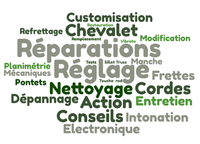 Esprit Guitare - Réparation, réglage, entretien