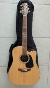 Guitare Takamine série G 29 Takamine Série G