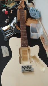 Guitare Godin SD 15 Godin SD