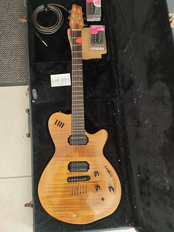 Guitare Godin LGX