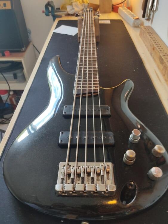 Basse Ibanez SR305 custom 3 Basse Ibanez SR305