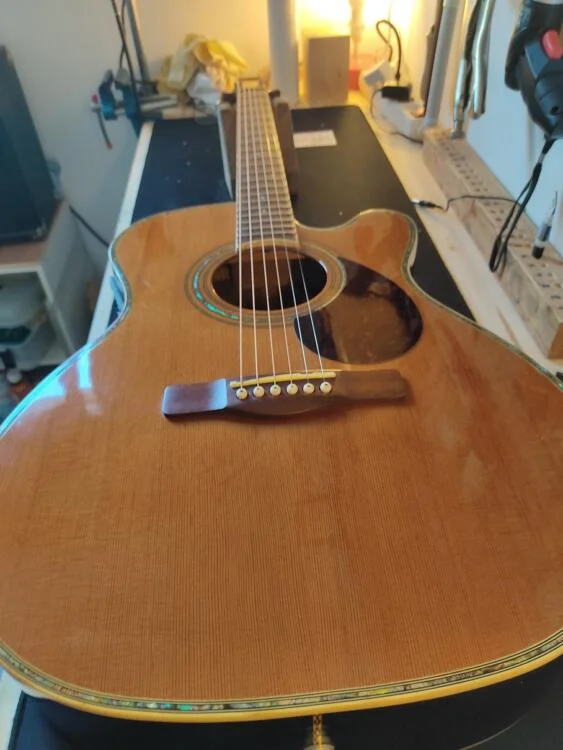 Guitare Greg Bennett OM8CE 1 Guitare Greg Bennett