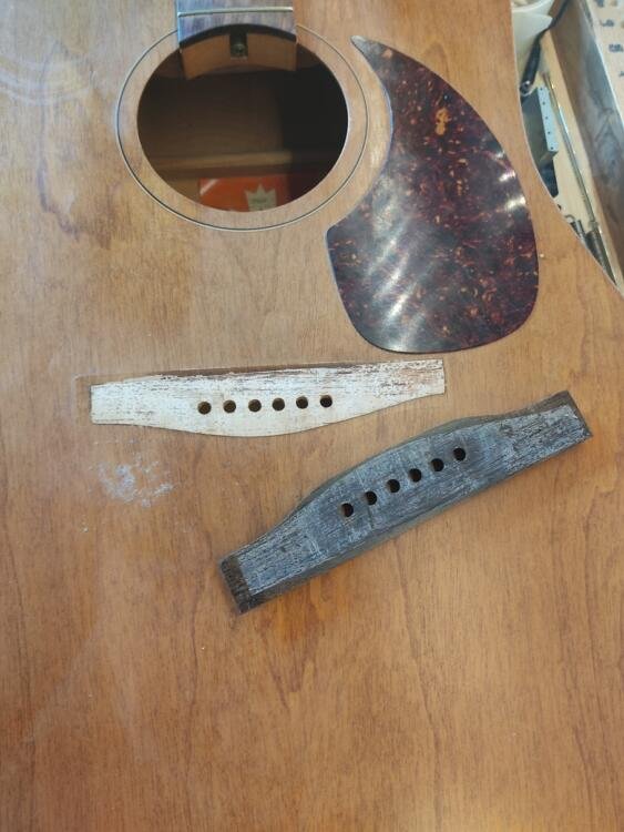 Guitare Norman B20 (1976/1980) 3 Norman B20