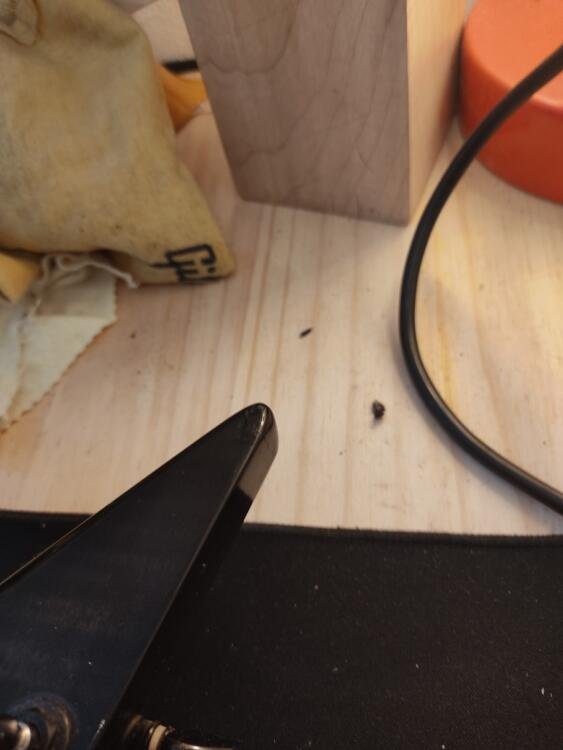 Washburn Dime ST II Pro