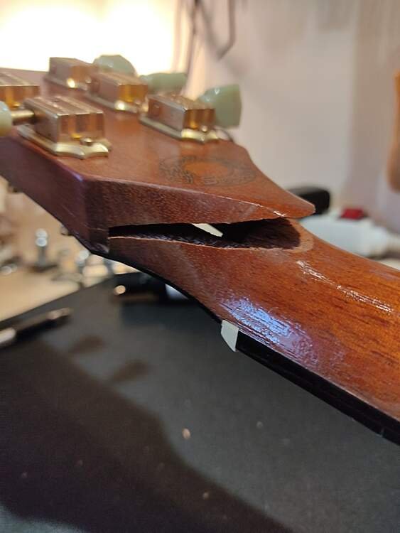 Guitare Gibson Les Paul 1 Gibson LesPaul