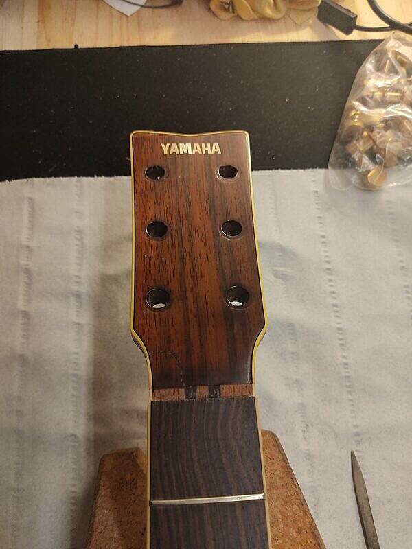 Guitare Yamaha LS16M