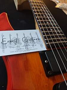 Guitare Steinberger Spirit GU Deluxe 20 Guitare Steinberger GM7T