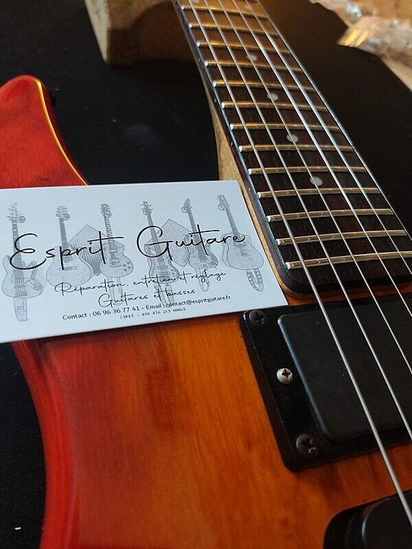 Guitare Steinberger GM7T 5 Guitare Steinberger GM7T