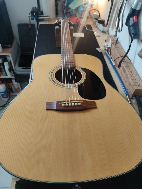 Guitare Takamine série G 5 Guitare Takamine série G
