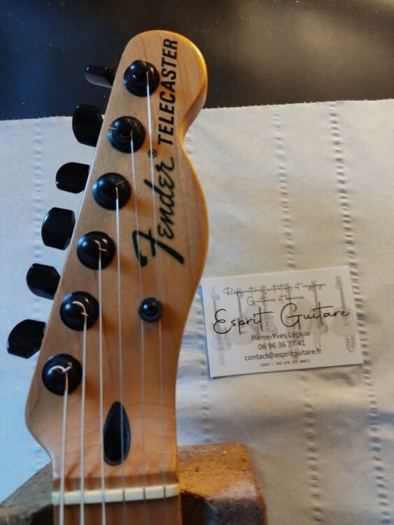 Guitare Telecaster Jim Root signature Guitare Telecaster Jim Root signature