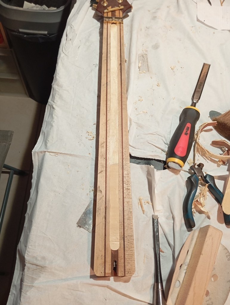 Guitare Moscato Funk